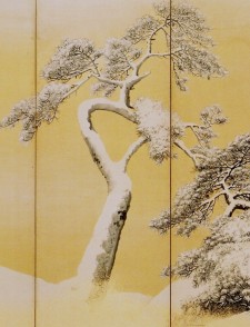 detail pines in snow